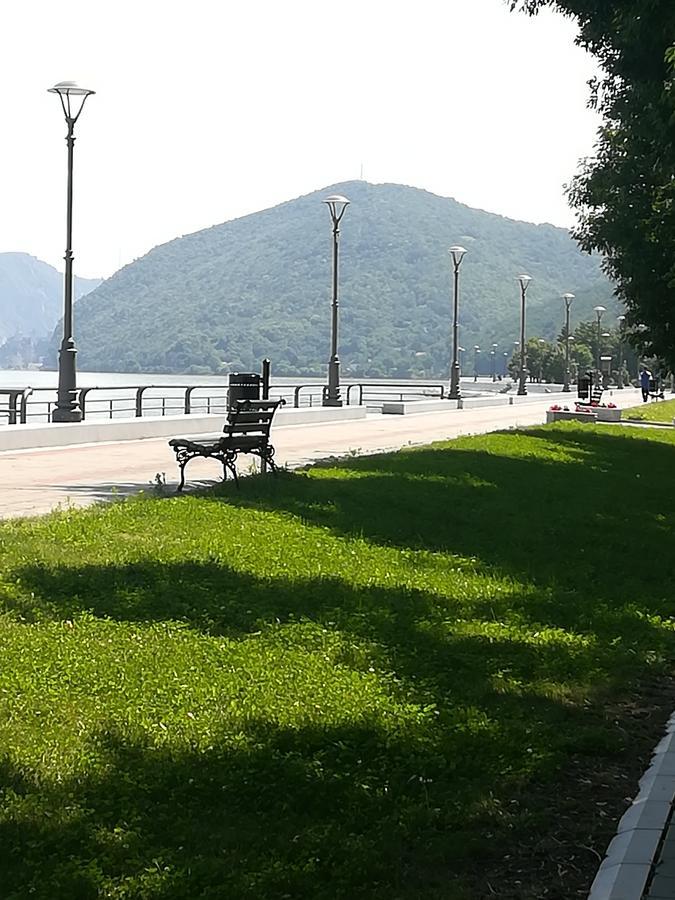 Apartman Bogić Apartment Golubac Bagian luar foto