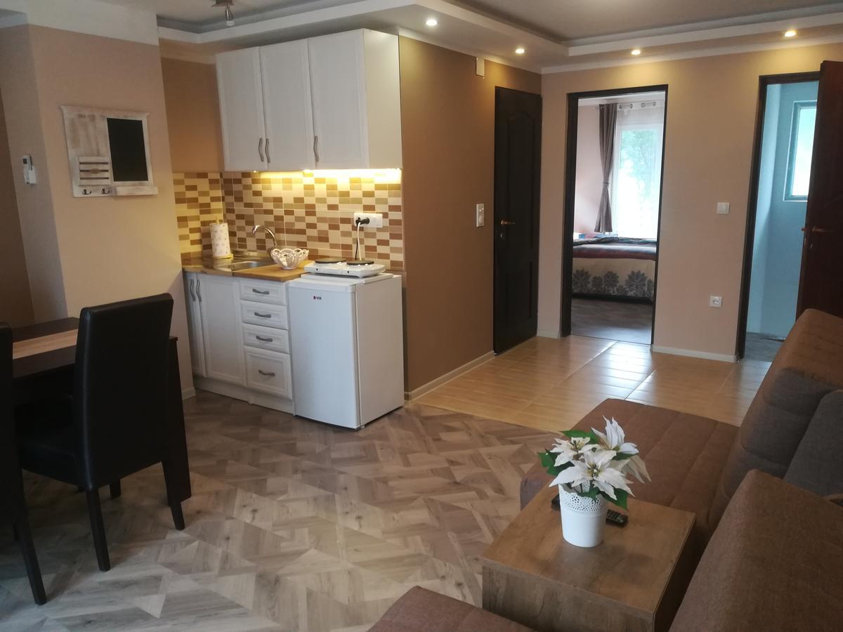 Apartman Bogić Apartment Golubac Bagian luar foto